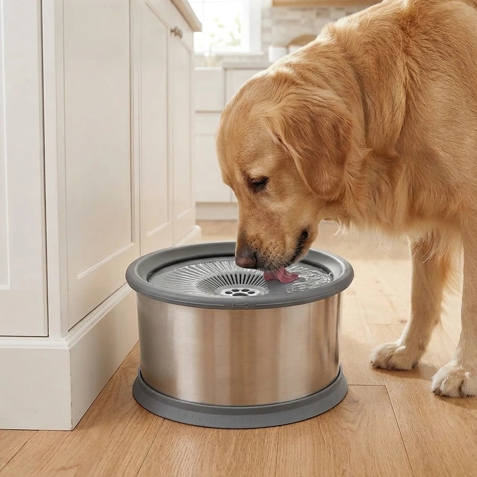 Splash Proof Stainless Steel Water Bowl