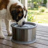 Splash Proof Stainless Steel Water Bowl