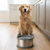 Splash Proof Stainless Steel Water Bowl