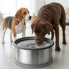 Splash Proof Stainless Steel Water Bowl